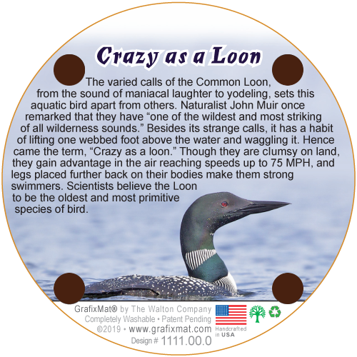 Coaster - Crazy as a Loon