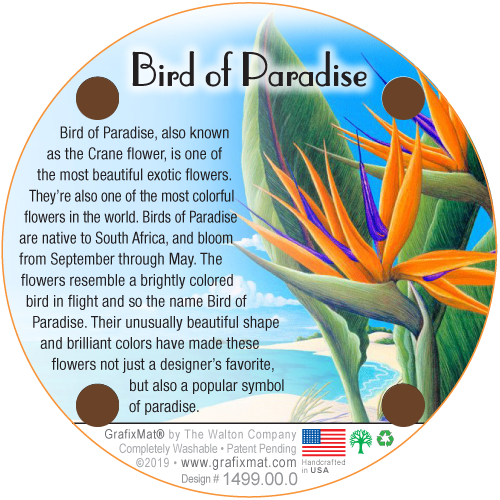 Coaster - Birds of Paradise