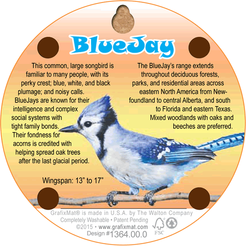 Coaster - Blue Jay
