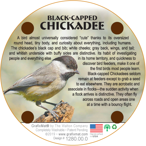 Coaster - Chickadee