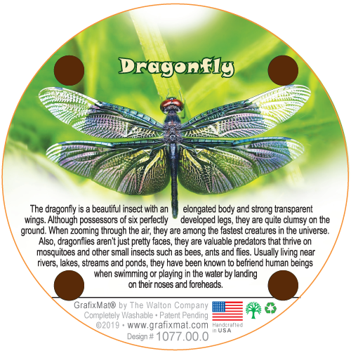 Coaster - Dragonfly