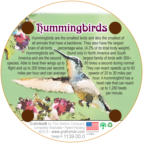 Coaster - Hummingbirds