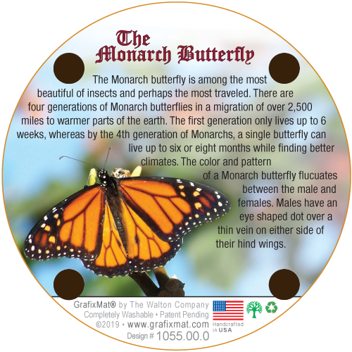 Coaster - Monarch Butterfly